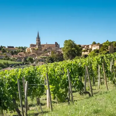 Vineyards tour saint emilion 672ddff9bfcbc