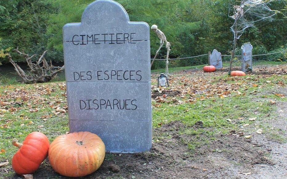 Escape Game zoo d'Amiens